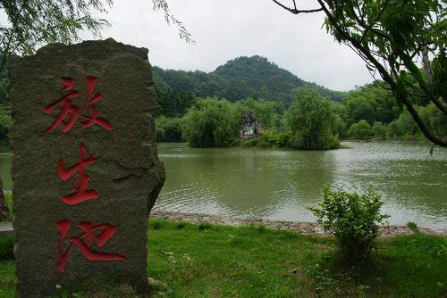 放生池 放生池
