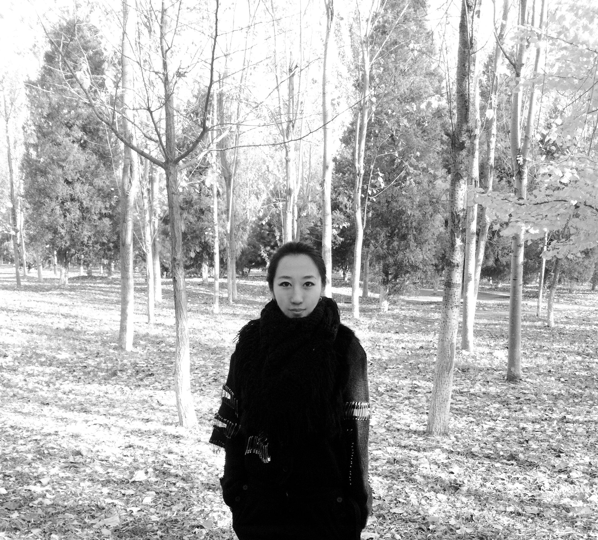 陈嘉伦(中国当代艺术家) 陈嘉伦(中国当代艺术家)
