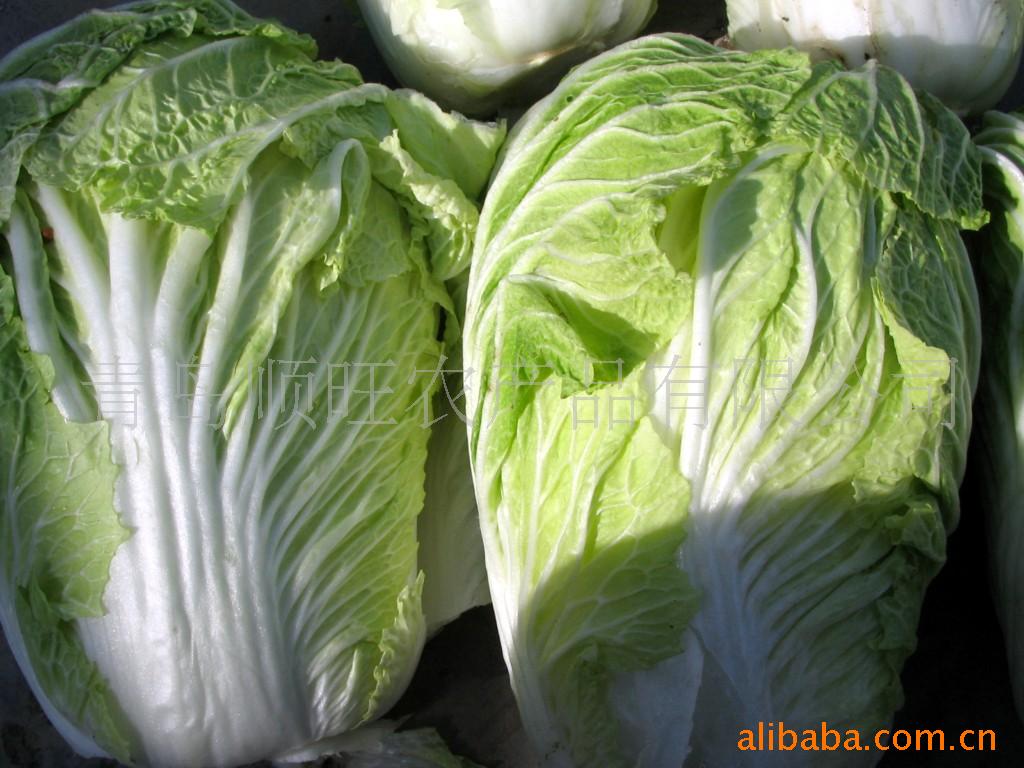 黄牙菜 黄牙菜