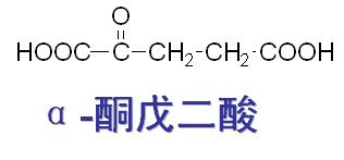 3-丁酮酸 3-丁酮酸