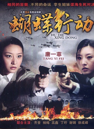 齐奎(中国内地演员)