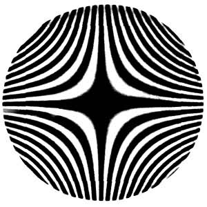 偏振光 偏振光
