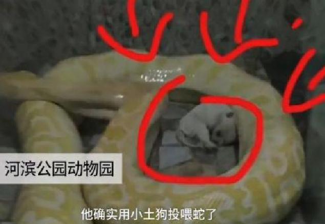 平顶山市河滨公园动物园 平顶山市河滨公园动物园