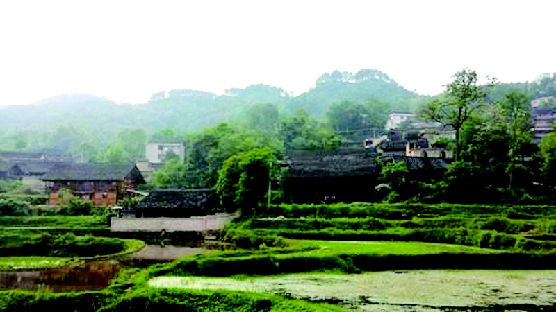 双下村 双下村