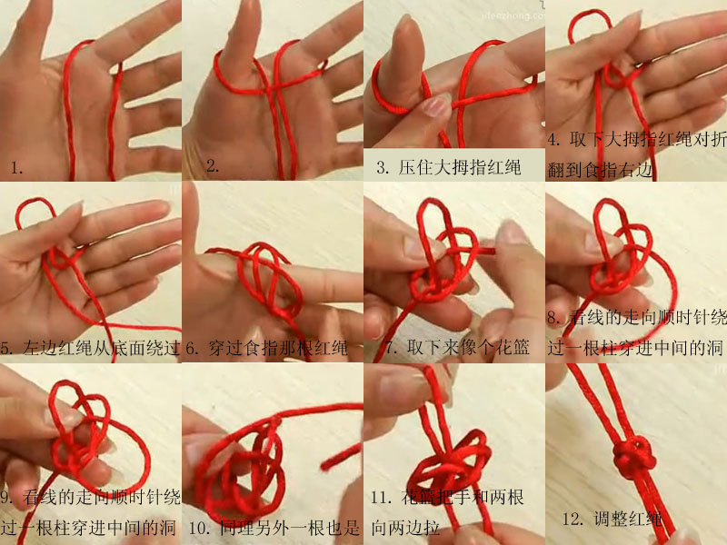 纽扣结 纽扣结