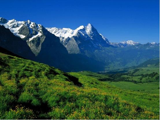 绵阳南山 绵阳南山
