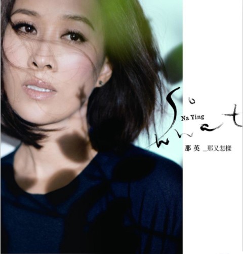 那又怎样(2011年发行的那英音乐专辑)