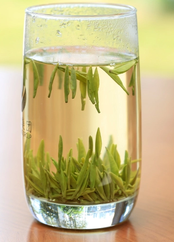 雀舌 雀舌