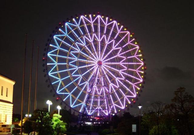 日本钻石与花摩天轮 日本钻石与花摩天轮