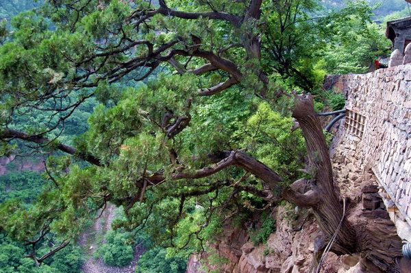 苍岩山风景区 苍岩山风景区