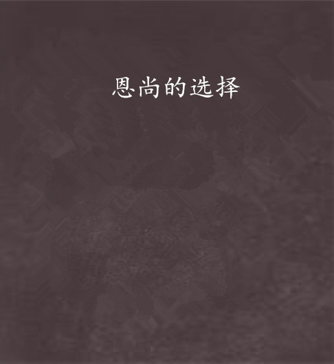 恩尚的选择 恩尚的选择