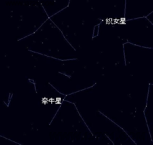 牛郎星 牛郎星