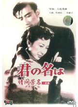 杨丽花