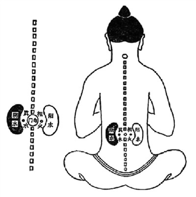 肾虚不孕 肾虚不孕