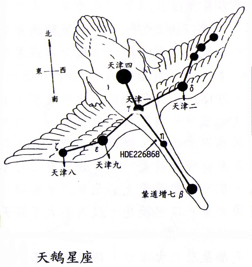 天鹅星座图示 天鹅星座图示