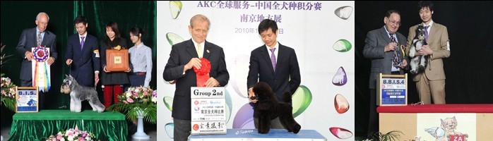 广州爱狗创志宠物美容培训学校 广州爱狗创志宠物美容培训学校