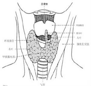 内分泌不孕 内分泌不孕