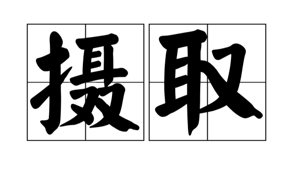 摄取 摄取
