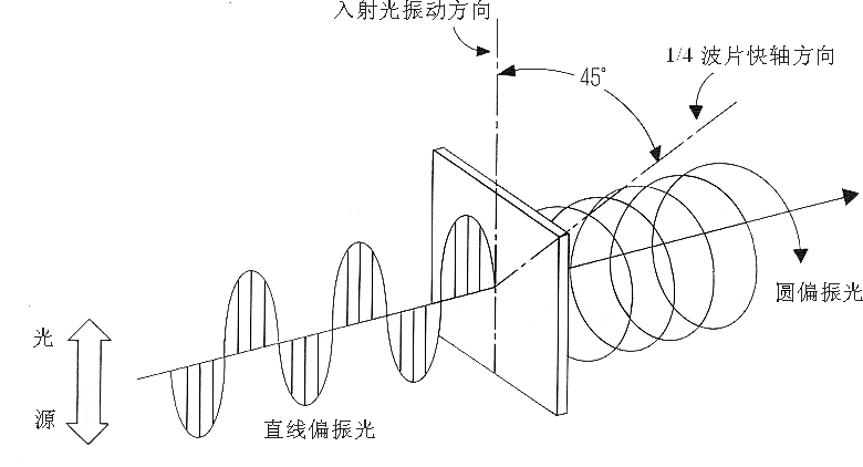 偏振光 偏振光