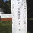 爱新觉罗·永璘 爱新觉罗·永璘