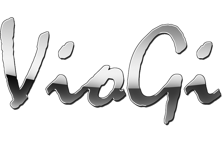 VIogi轩逸金属中网 VIogi轩逸金属中网