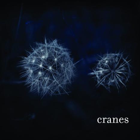 CRANES在08年出的专辑封面。