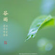 穀雨(节气) 穀雨(节气)