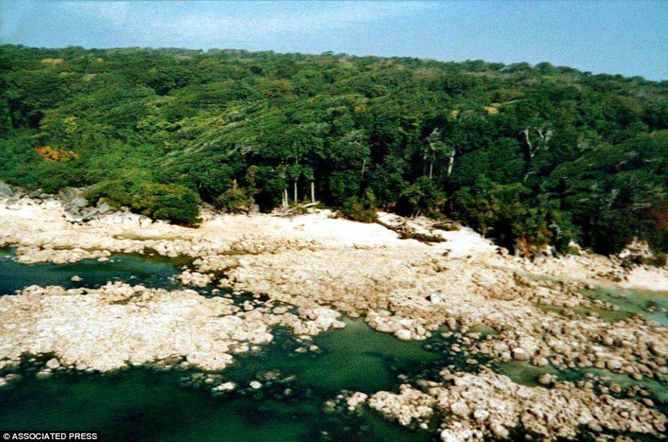 北森提奈岛原始部落 北森提奈岛原始部落