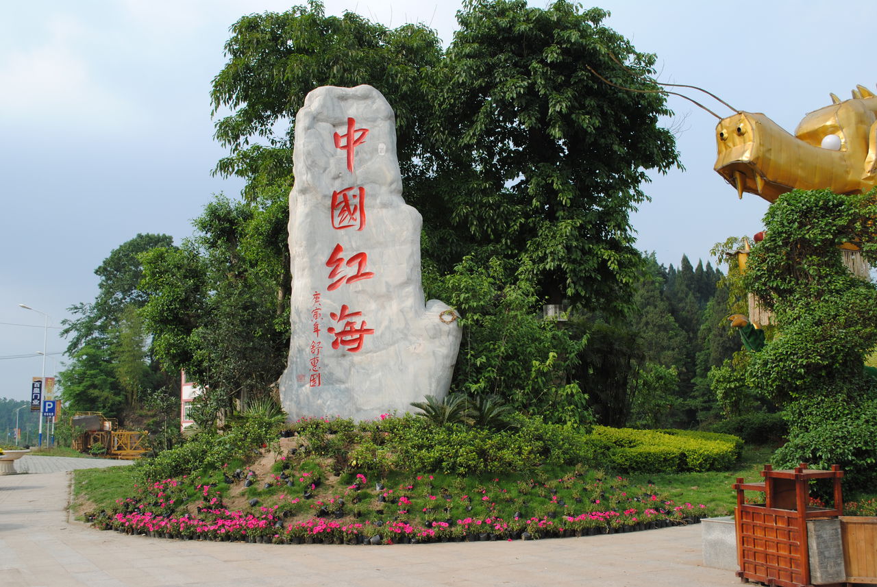 中国红海 中国红海
