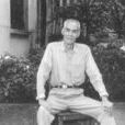 叶冈 叶冈