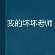 我的坏坏老师
