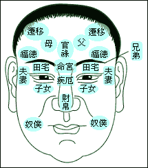 面相学 面相学