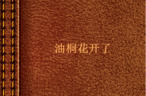 油桐花开了