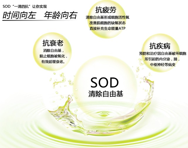 超氧化物歧化酶(SOD) 超氧化物歧化酶(SOD)