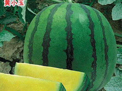 黄小玉