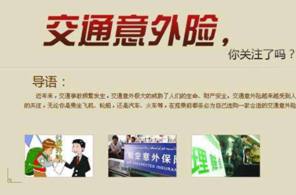 交通意外保险 交通意外保险