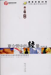 2008版《夏令营中的较量》 2008版《夏令营中的较量》