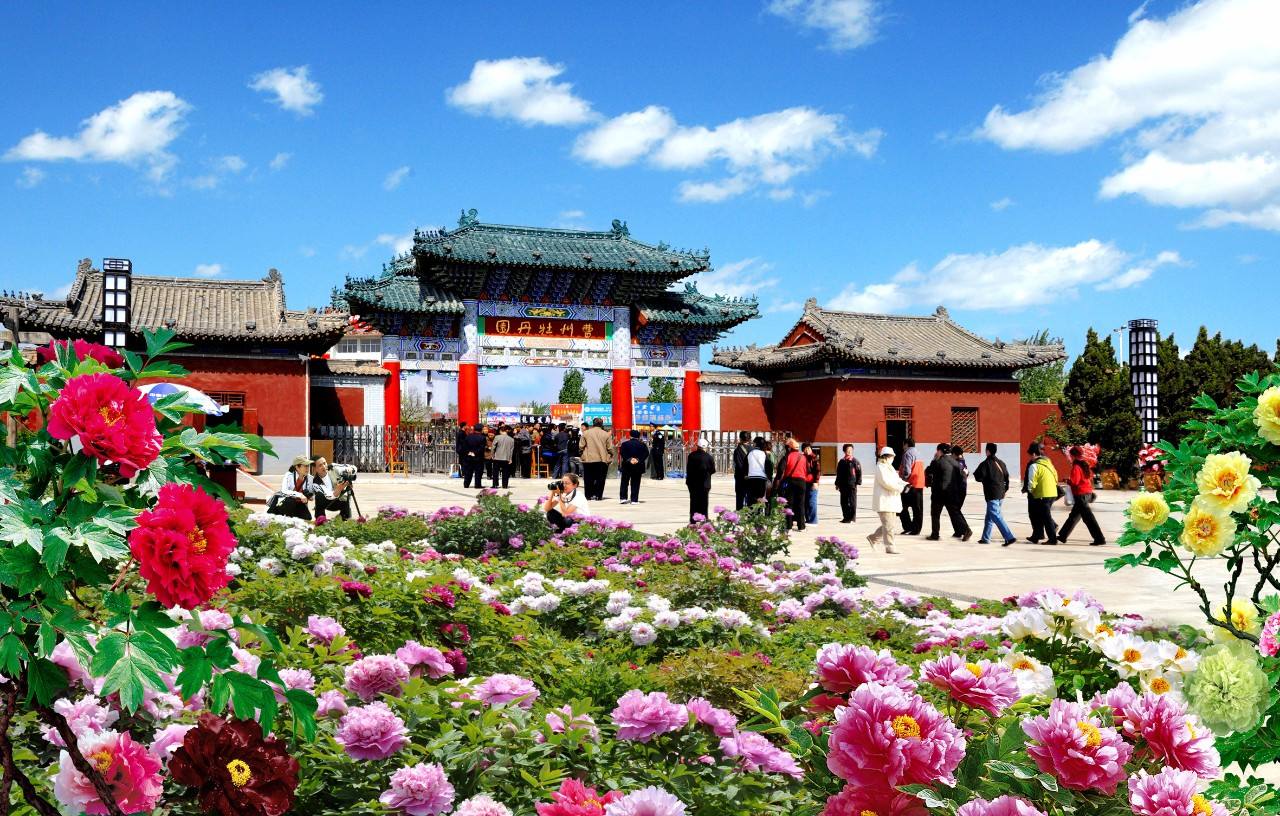菏泽(山东菏泽)