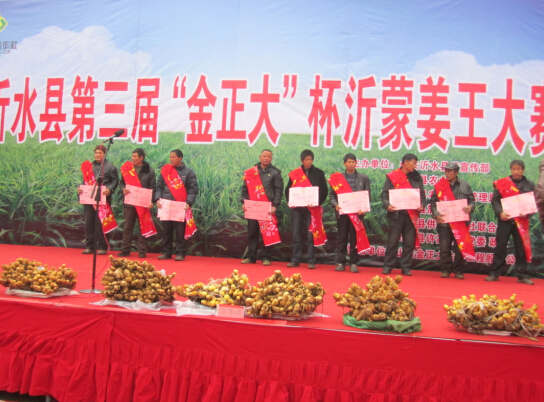大姜 大姜