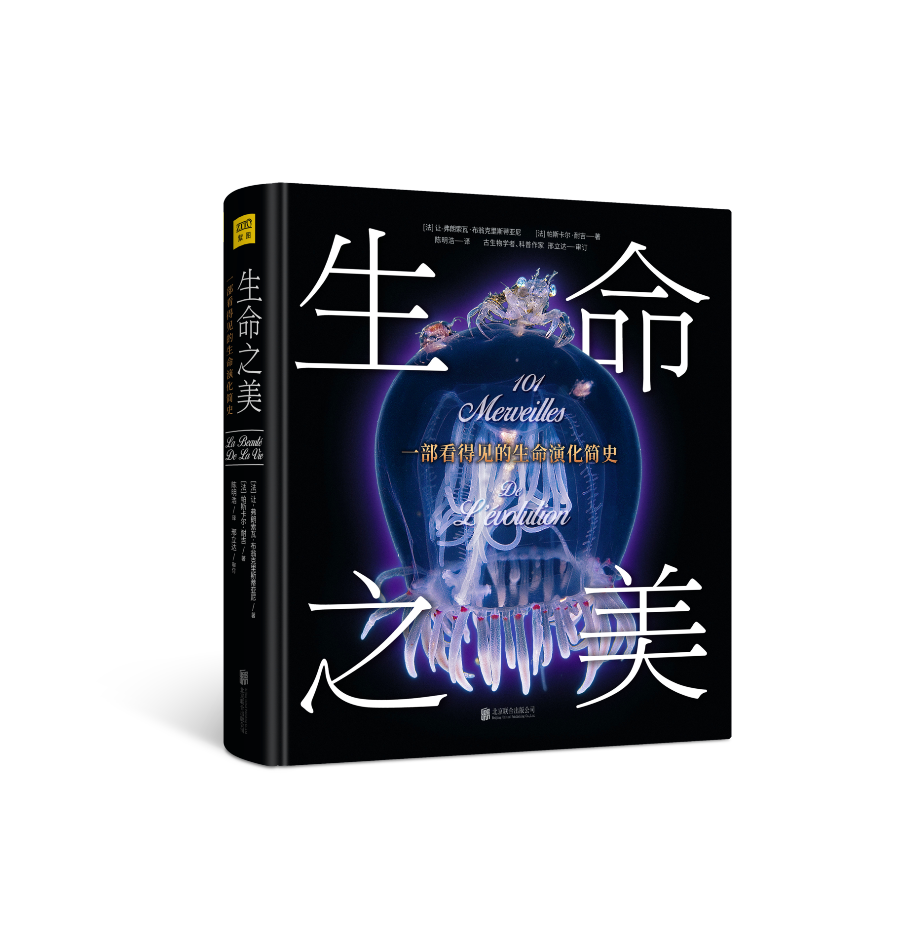 生命之美 生命之美