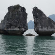 陆龙湾 陆龙湾