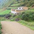 瓦岗寨自然村 瓦岗寨自然村