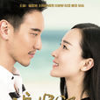 追婚记 追婚记