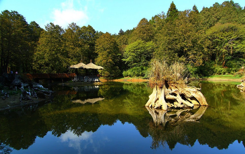 嘉义阿里山森林游乐区 嘉义阿里山森林游乐区
