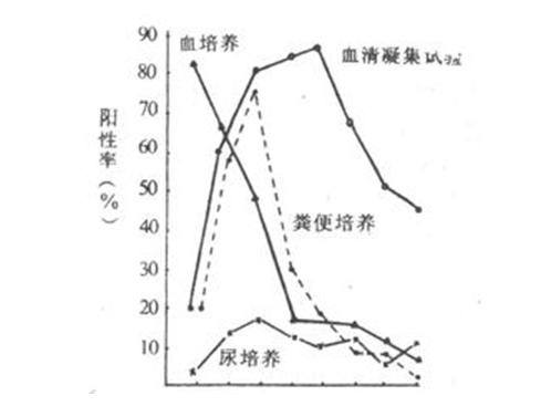 伤寒感菌 伤寒感菌