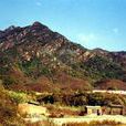 金陵遗址(北京金陵遗址) 金陵遗址(北京金陵遗址)