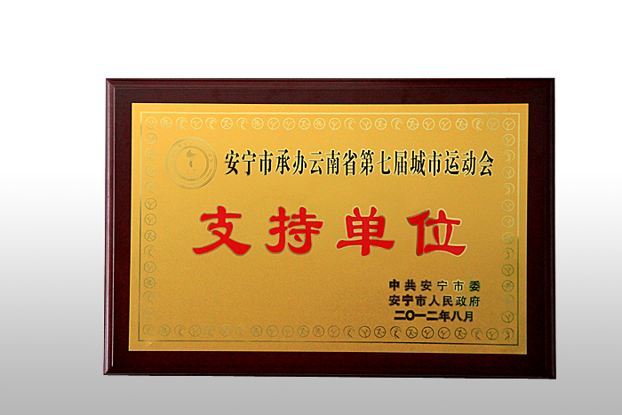 云南第七届城市运动支持单位 云南第七届城市运动支持单位