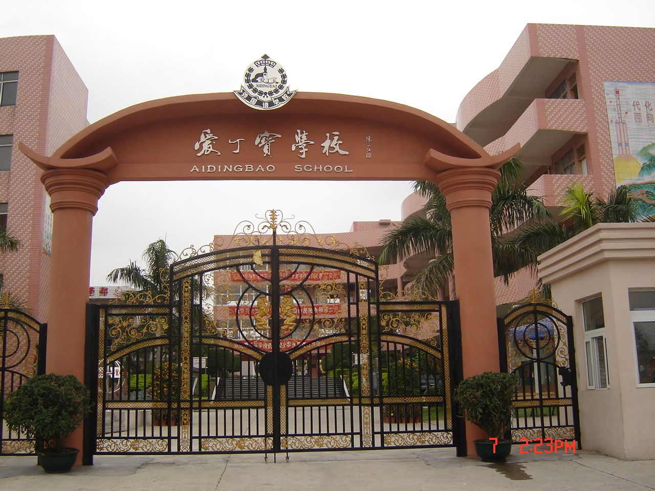 常平镇爱丁宝学校 常平镇爱丁宝学校