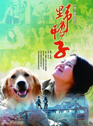 丹琳(宁丹琳)