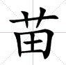 田字格中的苗 田字格中的苗